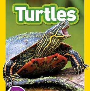 Turtles (National Geographic Kids Readers, Level 1)