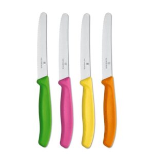 Victorinox Swiss Classic Paring Knife Set - Superior Kitchen Knives for Cutting Fruit, Vegetables & More - Cooking Knives for Kitchen Accessories - Multicolored 4-Piece Set, Serrated Edge