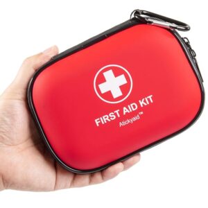 Mini First Aid Kit - 120 Piece Small Waterproof Hard Shell Medical Kit for Car, Home, Office, Travel, Camping, Sports, Outdoor, School - Emergency First Aid Supplies and Survival Kit (Red)