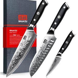 SHAN ZU Damascus Knife Set, Japanese Super Steel 3 PCS Damascus High Carbon Professional Ultra-Sharp Kitchen Chef Knife Set with G10 Handle Gift Box