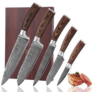 Wakoli Damascus Kitchen Knife Set, 5 Piece Professional Chef Knife Set made from 67 Layers of Damascus Steel with VG10 Core, Knives Set for Kitchen with Pakkawood Handles in Wooden Gift Box (EDIB)