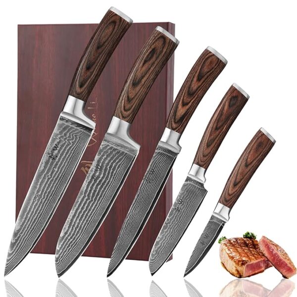 Wakoli Damascus Kitchen Knife Set, 5 Piece Professional Chef Knife Set made from 67 Layers of Damascus Steel with VG10 Core, Knives Set for Kitchen with Pakkawood Handles in Wooden Gift Box (EDIB)