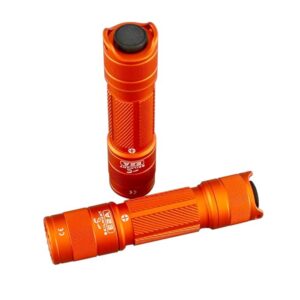SKILHUNT EDC Pocket Keychain Mini Light, Super Bright, Waterproof, for Camping Hiking Emergency Tiny Flashlight, E2A (Orange, High CRI BL-110C)