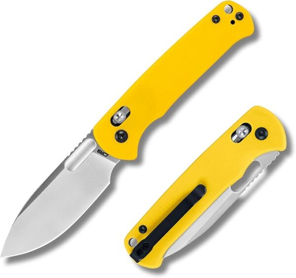 CJRB Hectare Folding Pocket Knife, 3.15" AR-RPM9 Powder Steel Blade G10 Handle Small EDC Knife With Pocket Clip for Men Women, Sharp Camping Survival Hiking Knives J1935 (Yellow) - Image 2