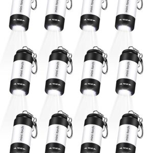 Mudder 12 Pieces Mini Keychain Flashlight Bulk Plastic Small Handheld LED USB Rechargeable Waterproof Flashlight Pocket Tiny Torch for Emergency Camping Hiking Favor(White Light in White)