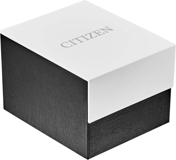 Citizen Quartz Mens Watch, Stainless Steel, Classic, Two-Tone (Model: BF2005-54L) - Image 5